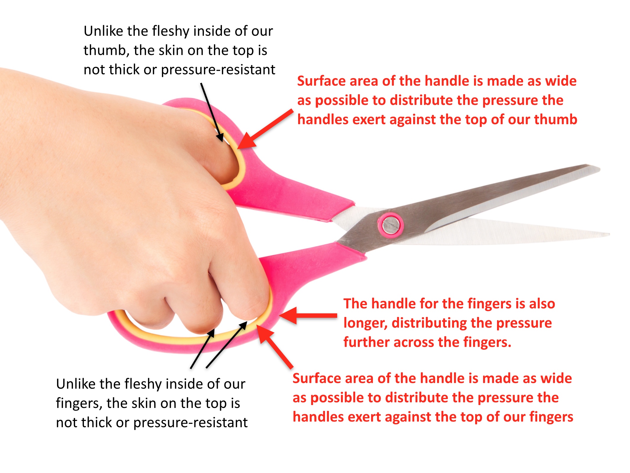 A cut above the rest. - NomNomenon